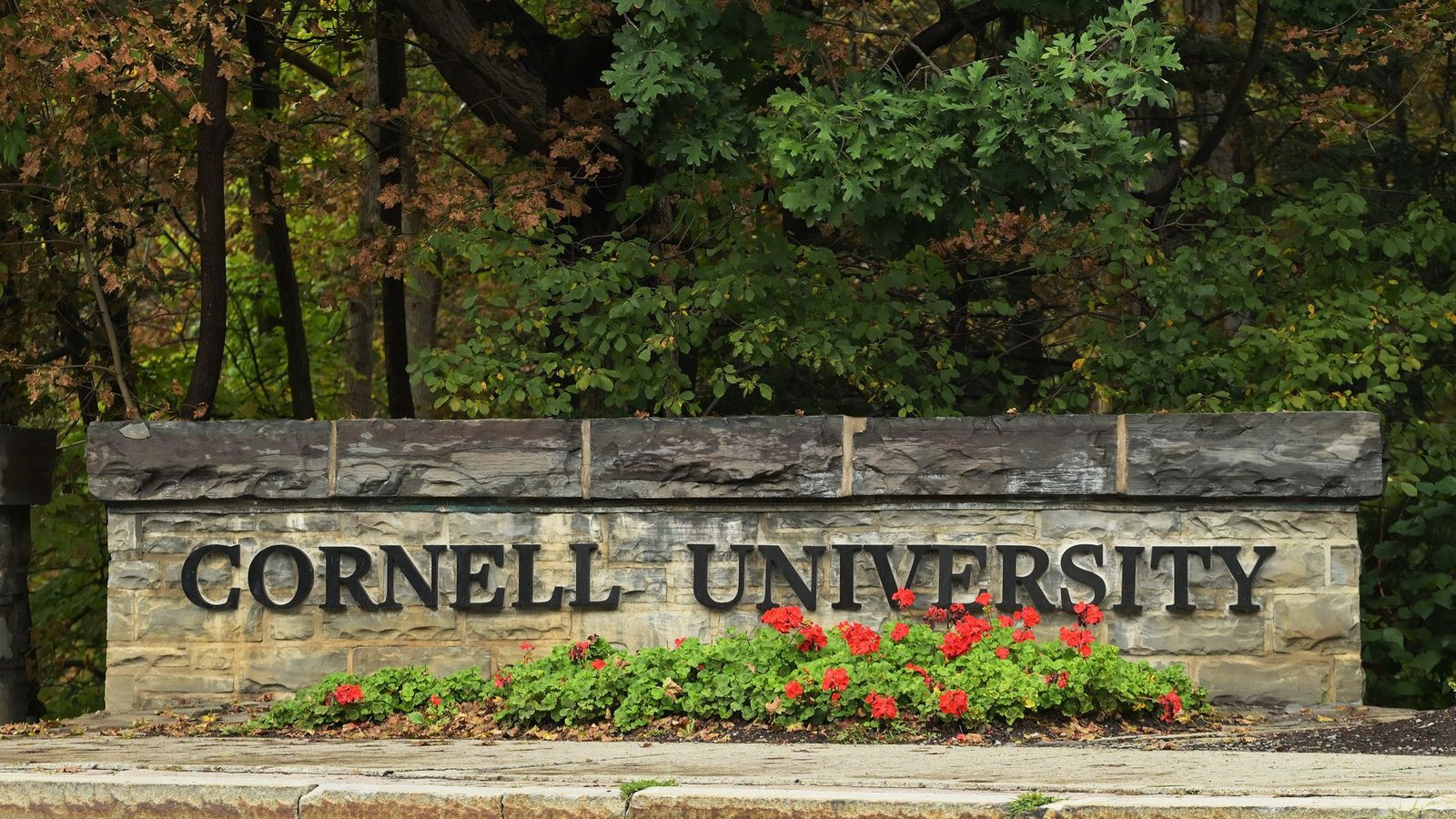 Cornell president calls alleged gang rape ‘deeply disturbing’