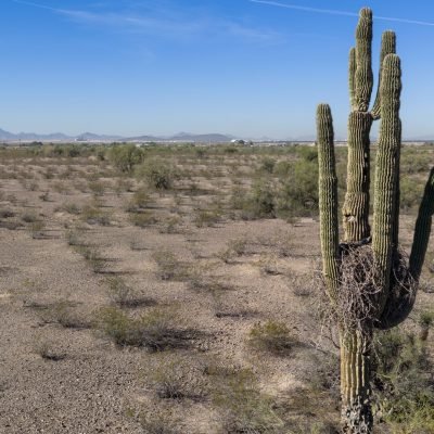 US suffers hottest March day ever recorded